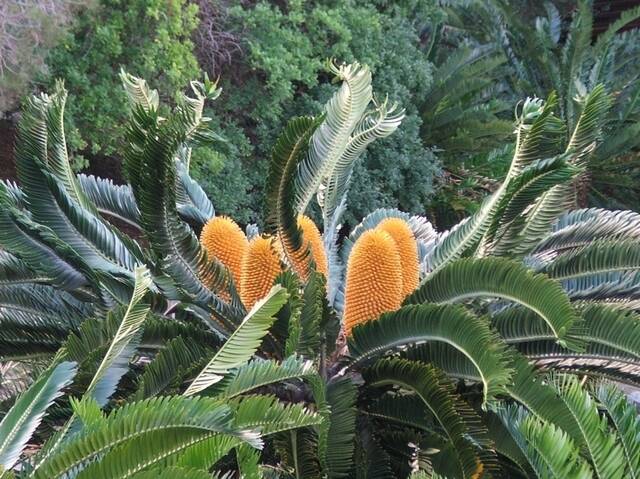 2025050921311277.jpg 8.jpg