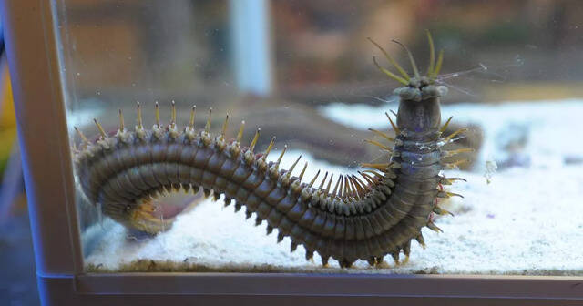 2025050917607584.jpg 77.jpg