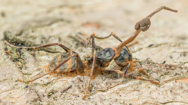 2025050976565818.jpg 102.jpg