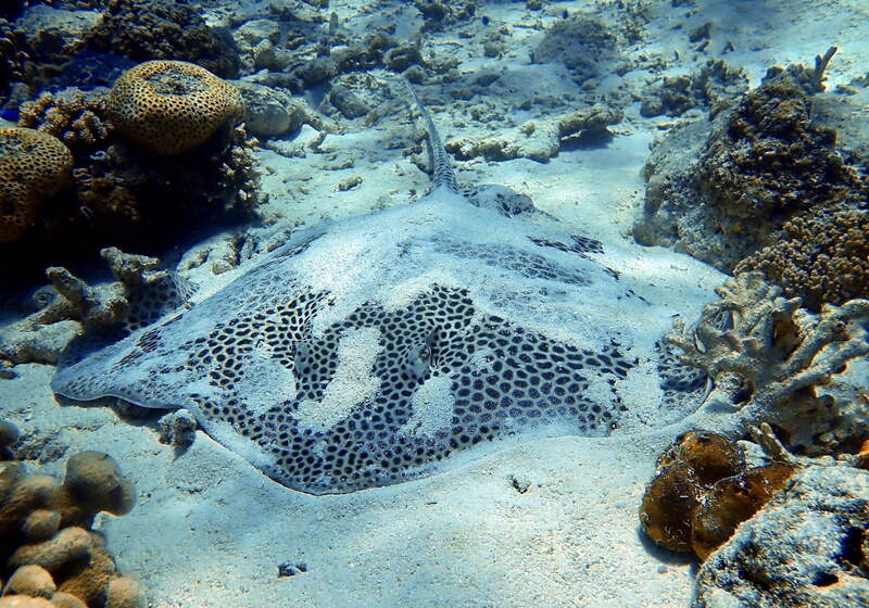 2025051963368261.jpeg 6.jpeg