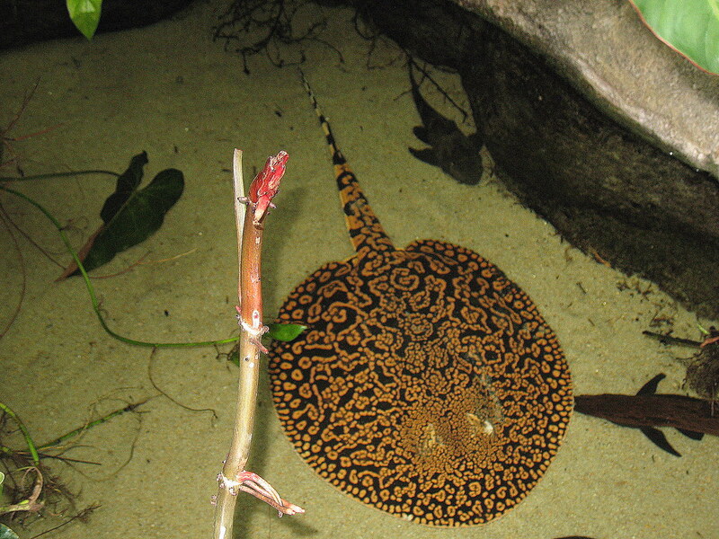 2025051912088765.jpg 44.jpg