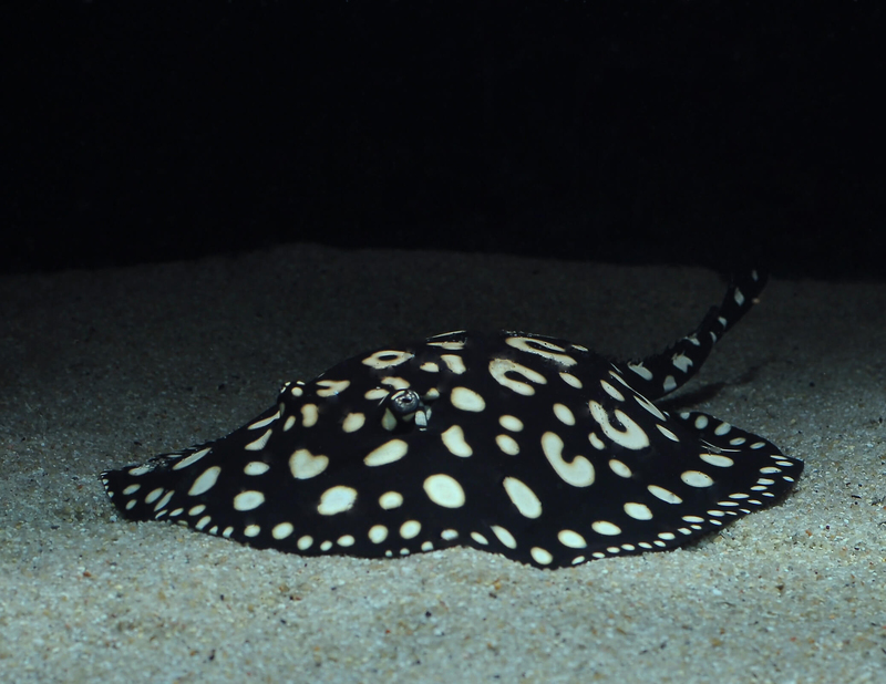 2025051942127534.jpg 3.jpg