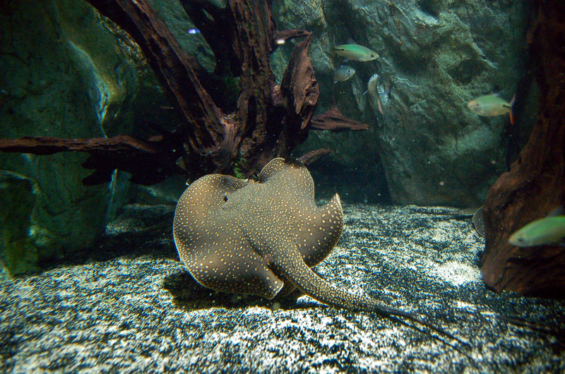 2025051913293287.jpg 9.jpg