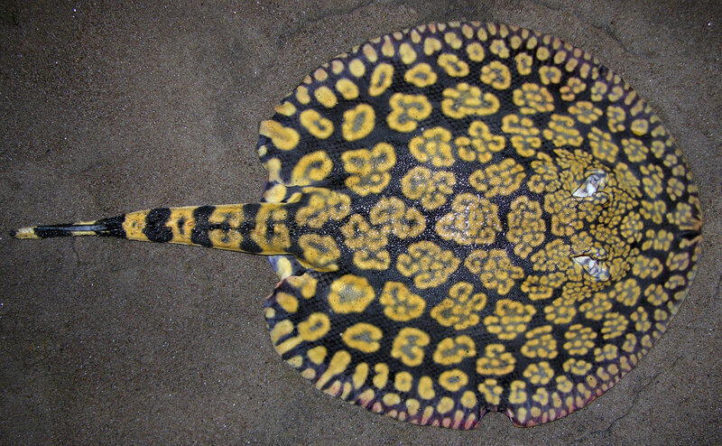 2025051917127432.jpg 1.jpg