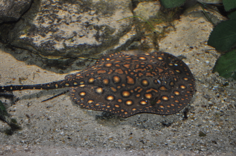 2025051914886892.jpg 55.jpg