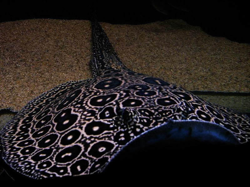 2025051915624444.jpg 22.jpg