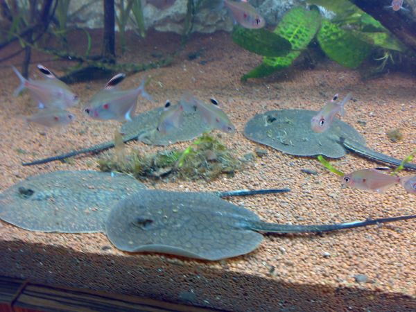 2025051917402052.jpg 10.jpg