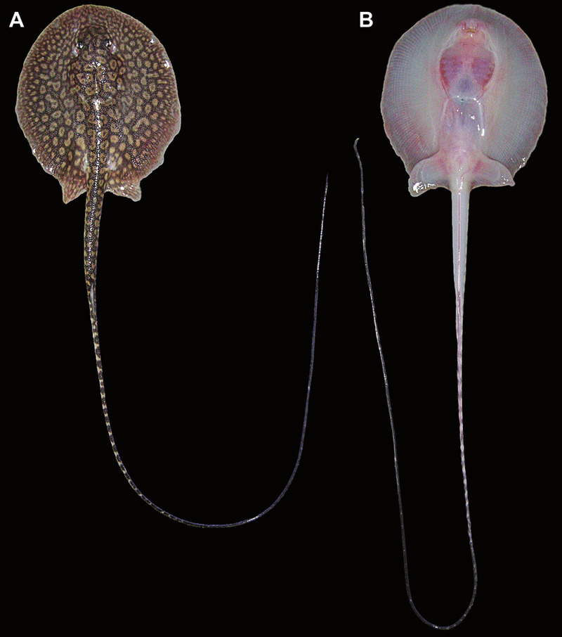 2025051920744120.jpg 77.jpg