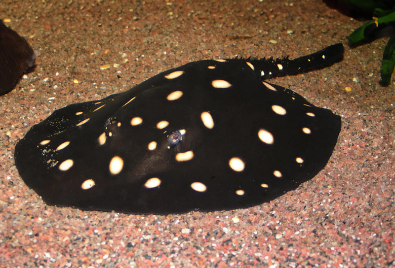 2025051920878977.jpg 33.jpg