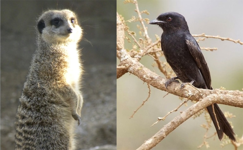 2025052614901194.jpg 10.jpg