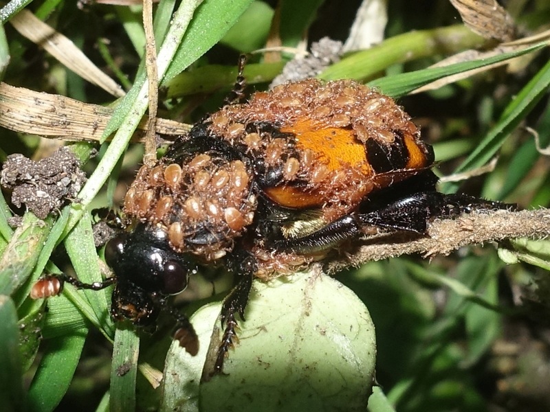 2025052615685853.jpg 2.jpg