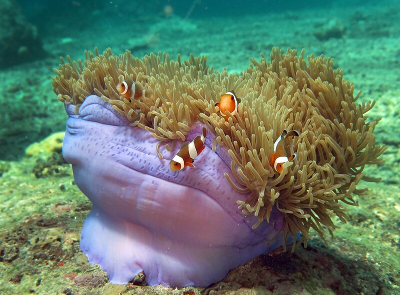 2025052616900567.jpg 8.jpg