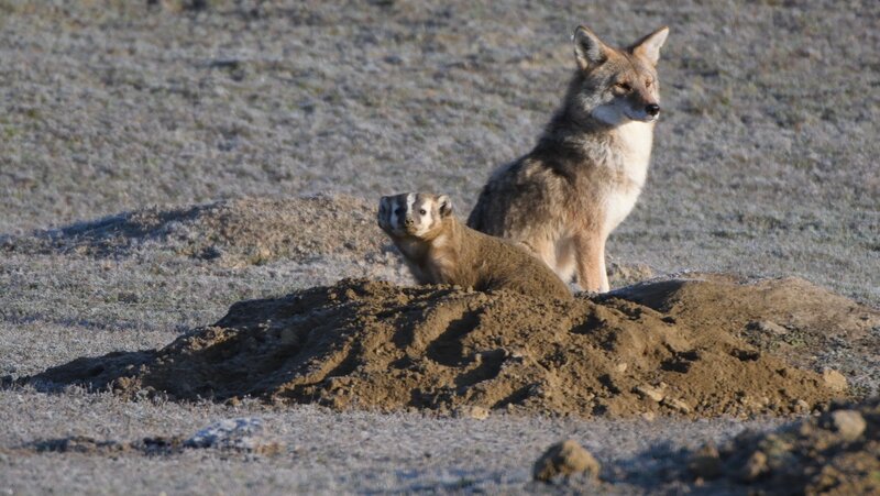 2025052640935216.jpg 9.jpg