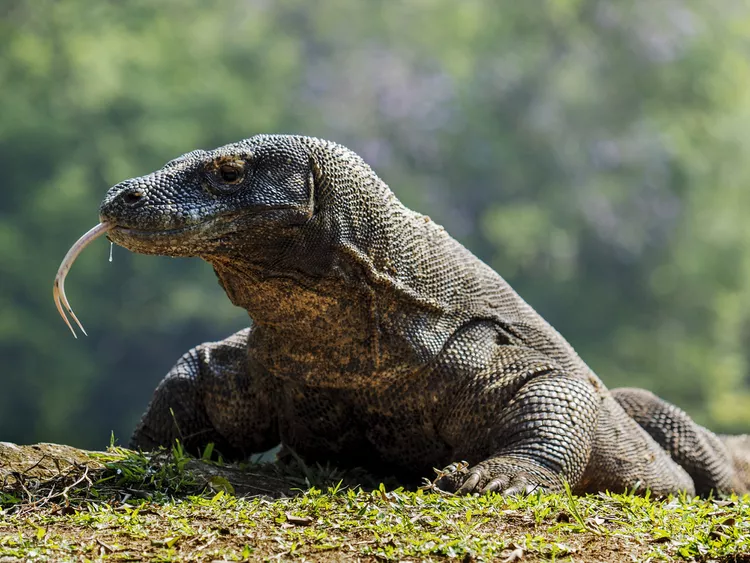 2025052719867605.webp 2.webp