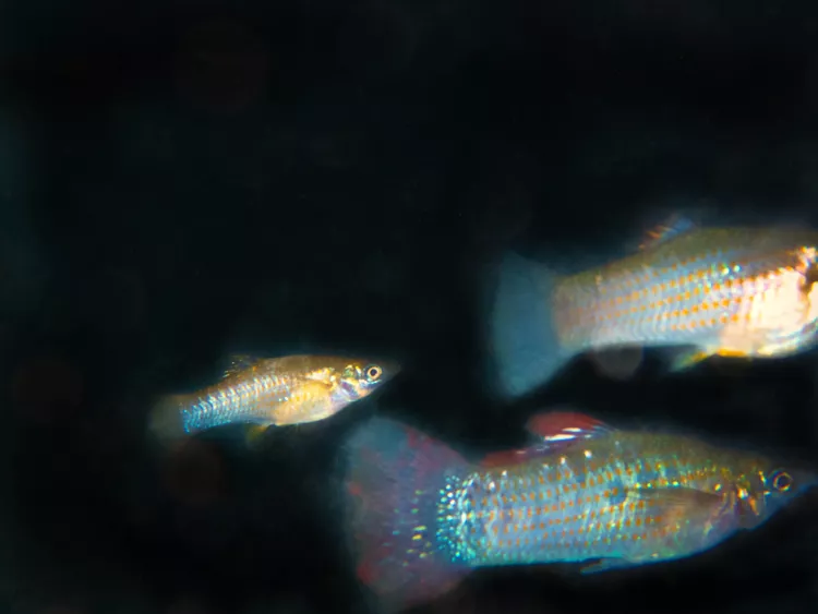 2025052716376211.webp 7.webp