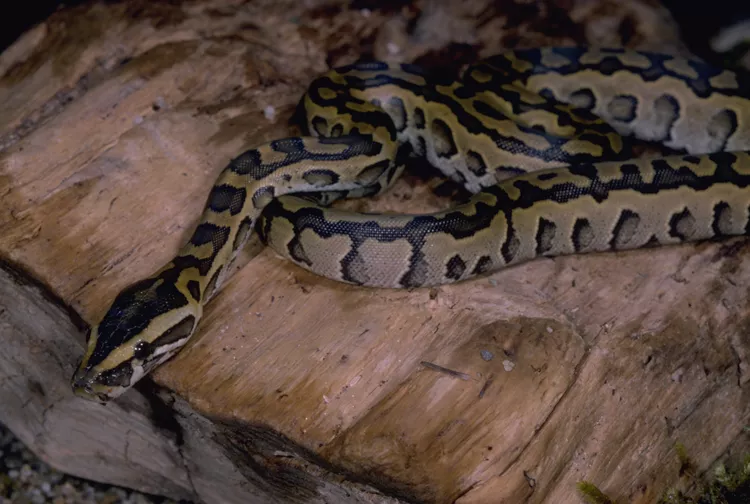 2025052731757758.webp 5.webp