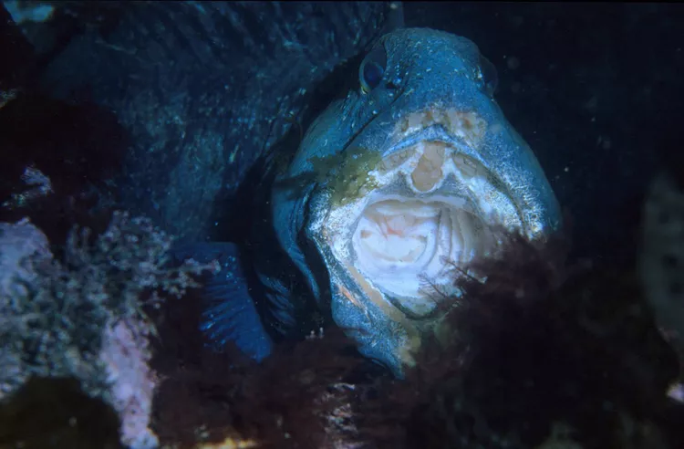 2025053080770740.webp 11.webp