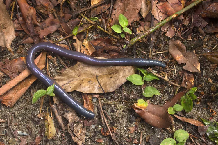 2025060410763370.webp 6.webp