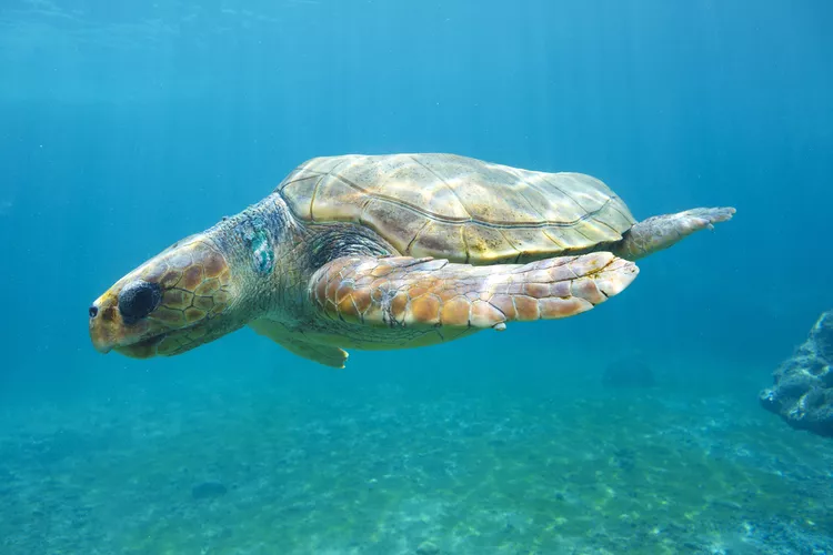 2025060493349105.webp 17.webp