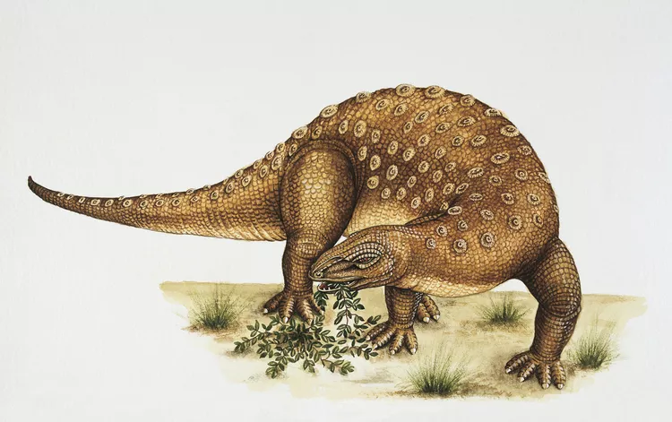 2025060610853185.webp 5.webp