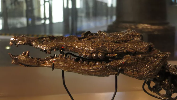 2025060615249432.webp 11.webp