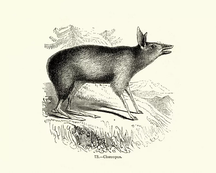 2025060616681093.webp 17.webp