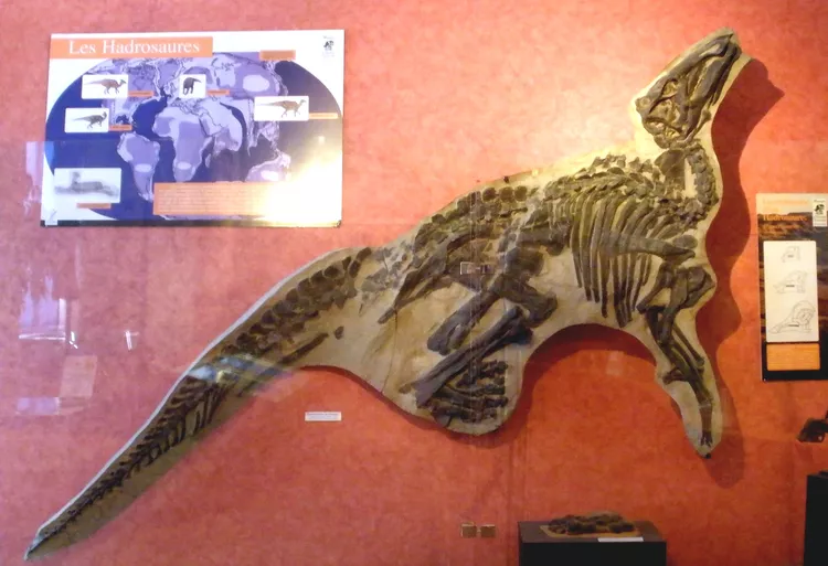 2025060618098891.webp 6.webp