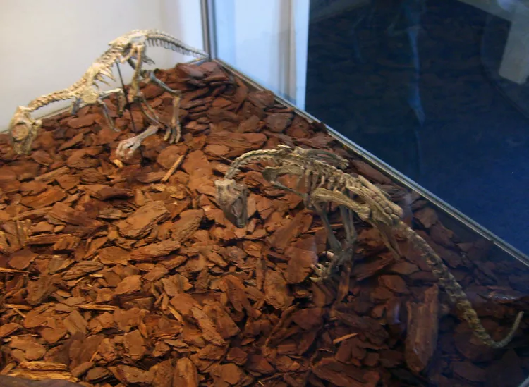 2025060619225259.webp 7.webp