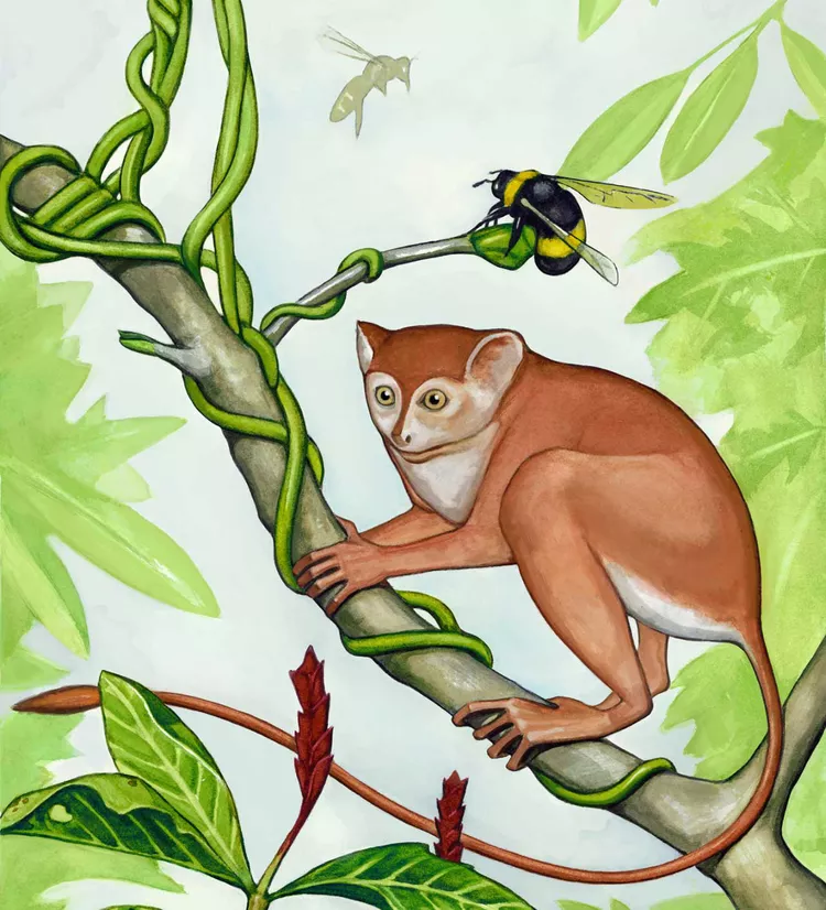 2025060617301848.webp 19.webp