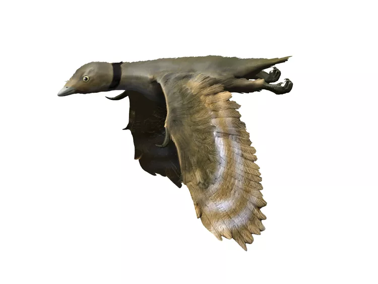 2025060659671938.webp 14.webp