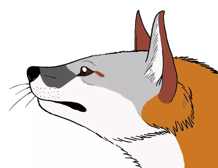 2025060658510634.webp 18.webp