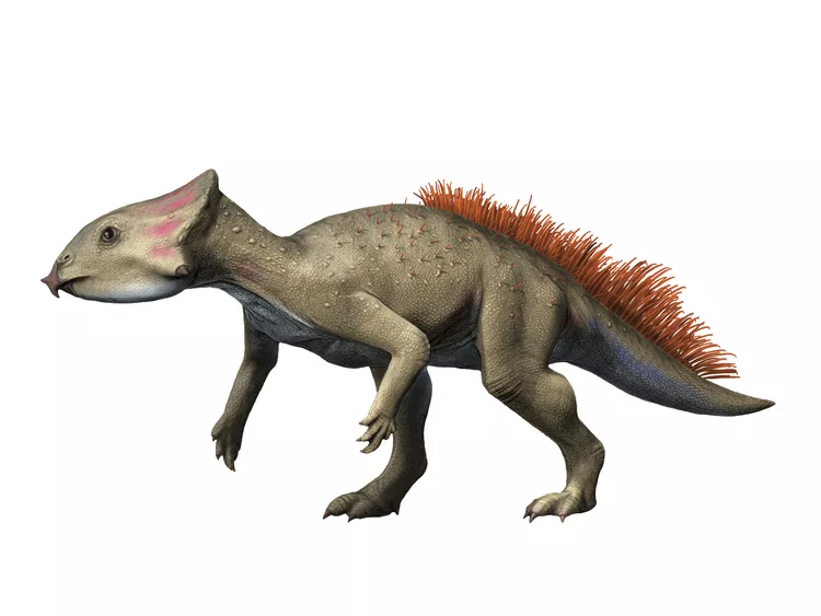 2025060688506479.webp 4.webp