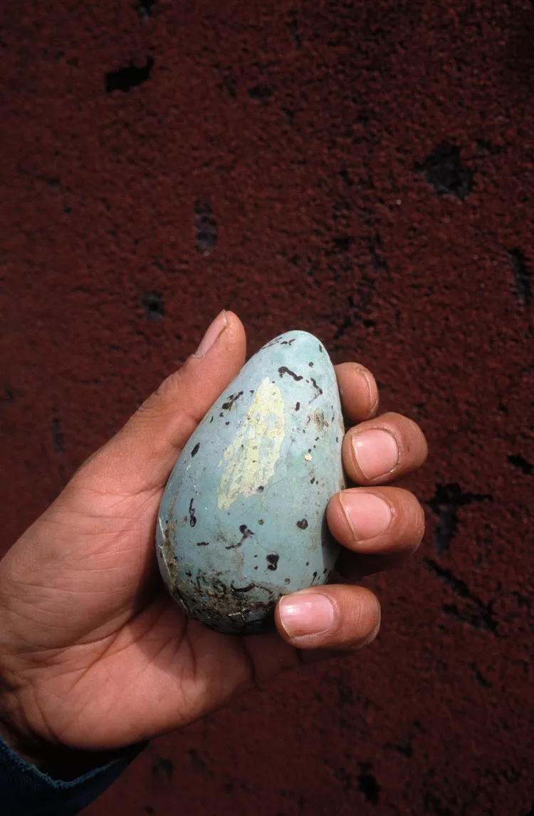 2025061771869586.webp 7.webp