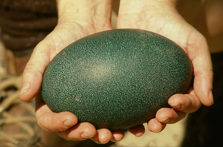 2025061716852613.webp 3.webp