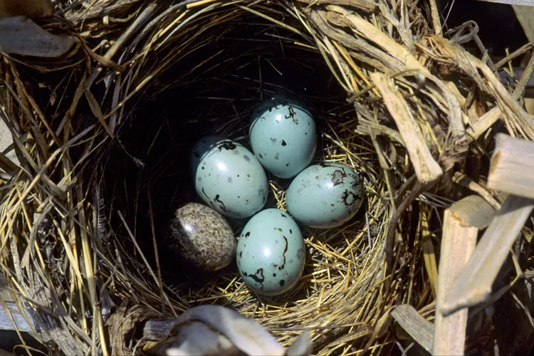 2025061772600079.webp 8.webp