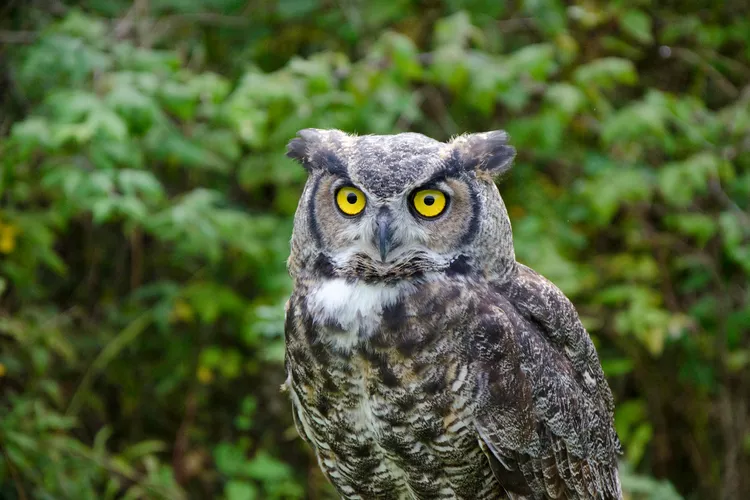 2025061855477625.webp 1.webp