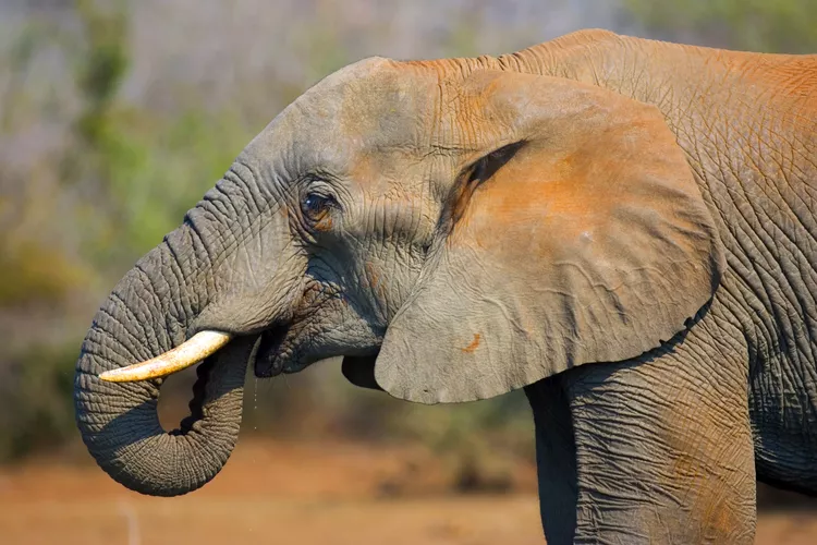 2025061821027974.webp 2.webp