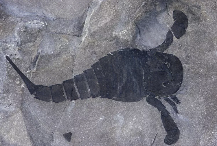 2025061958188095.webp 3.webp