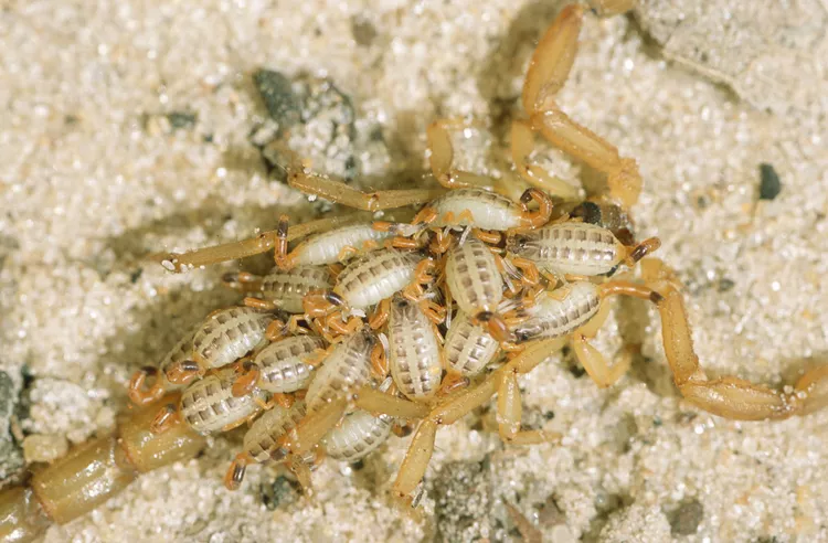 2025061948092721.webp 1.webp