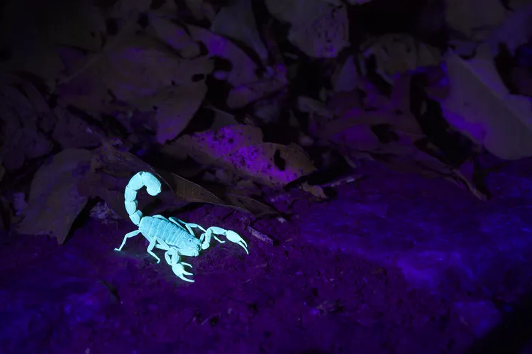 2025061918947626.webp 7.webp