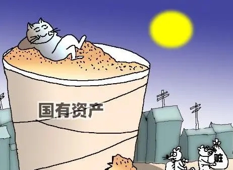 国有资产权益指的什么？