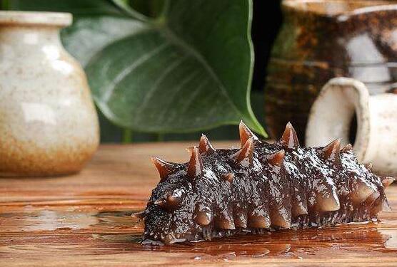  黑玉参的作用与功效