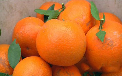  ​沃柑的营养成分及其功效