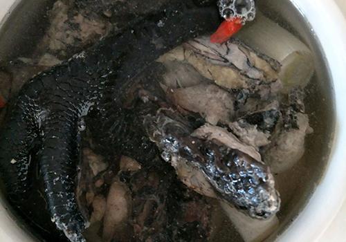  红参乌鸡汤的功效与作用及做法