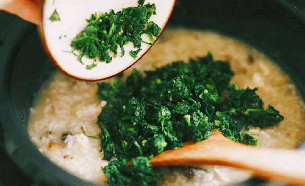  荠菜粥的功效与作用及做法