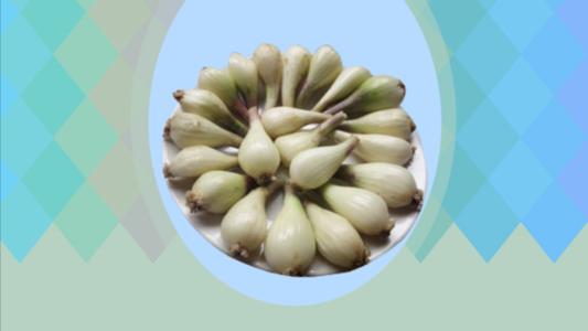  薤白的功效与作用及禁忌