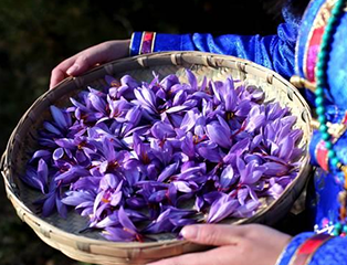 73D67F35-291A-42e7-AA93-7705A54013AB.png 73D67F35-291A-42e7-AA93-7705A54013AB.png