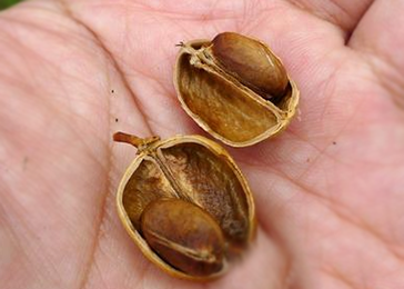 ABC3482F-9B49-49dd-83AC-599C7BB099E0.png ABC3482F-9B49-49dd-83AC-599C7BB099E0.png