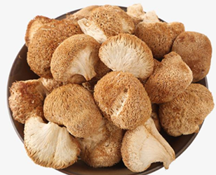  猴头菇有哪些功效和保健作用