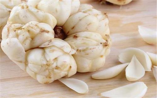 zsyr3jpg.jpg zsyr3jpg.jpg